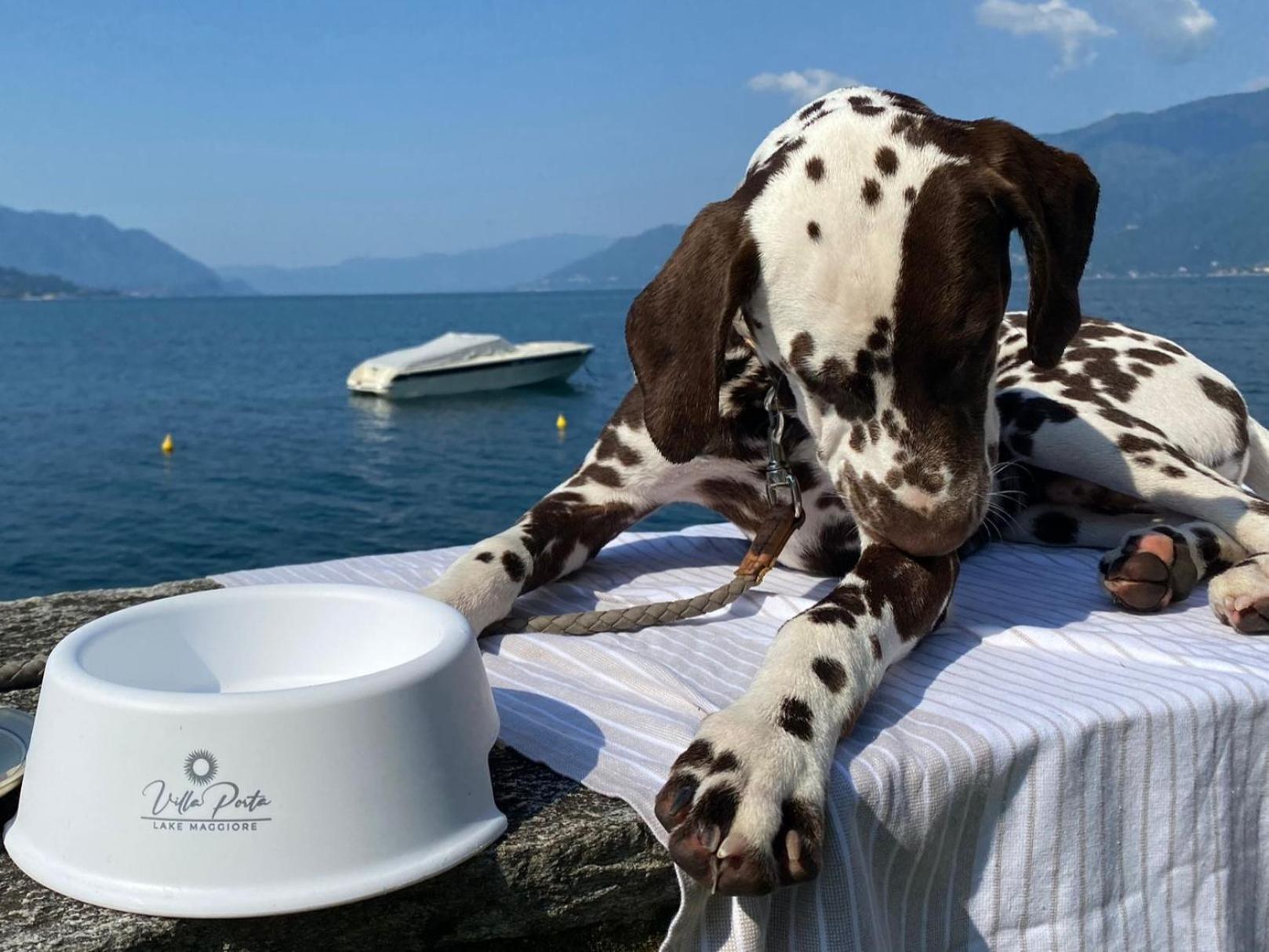 Relais Villa Porta Luino Kültér fotó